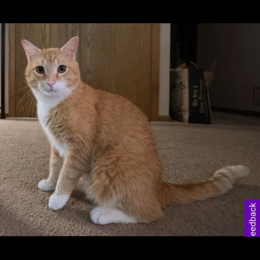 Meet your Posher, Mireille